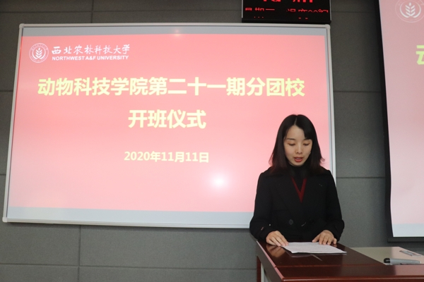 f0627d250841476abc9cd3802b28261e.jpg IMG_6662_爱奇艺.jpg