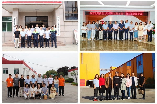 8c5ff06620d24e1b9401da5aa2078b01.jpg NeoImage_副本.jpg