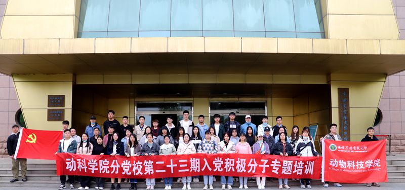 9726d9f93c8348d69ae5506d775844bf.jpg 7bd167fd54934305b48201fee378a3c0.jpg