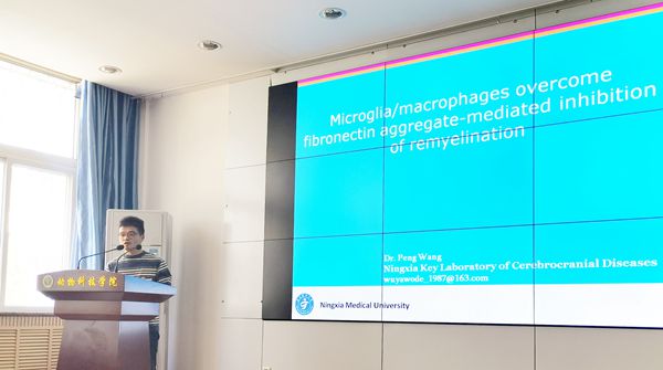 7c934218376040598fc2f7ba8b223218.jpg 王鹏副教授作报告_副本_副本.jpg