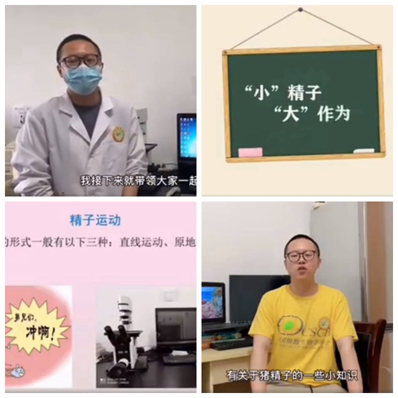 f8d61b6f639242c28aff61fc3e85b786.jpg f8d61b6f639242c28aff61fc3e85b786.jpg