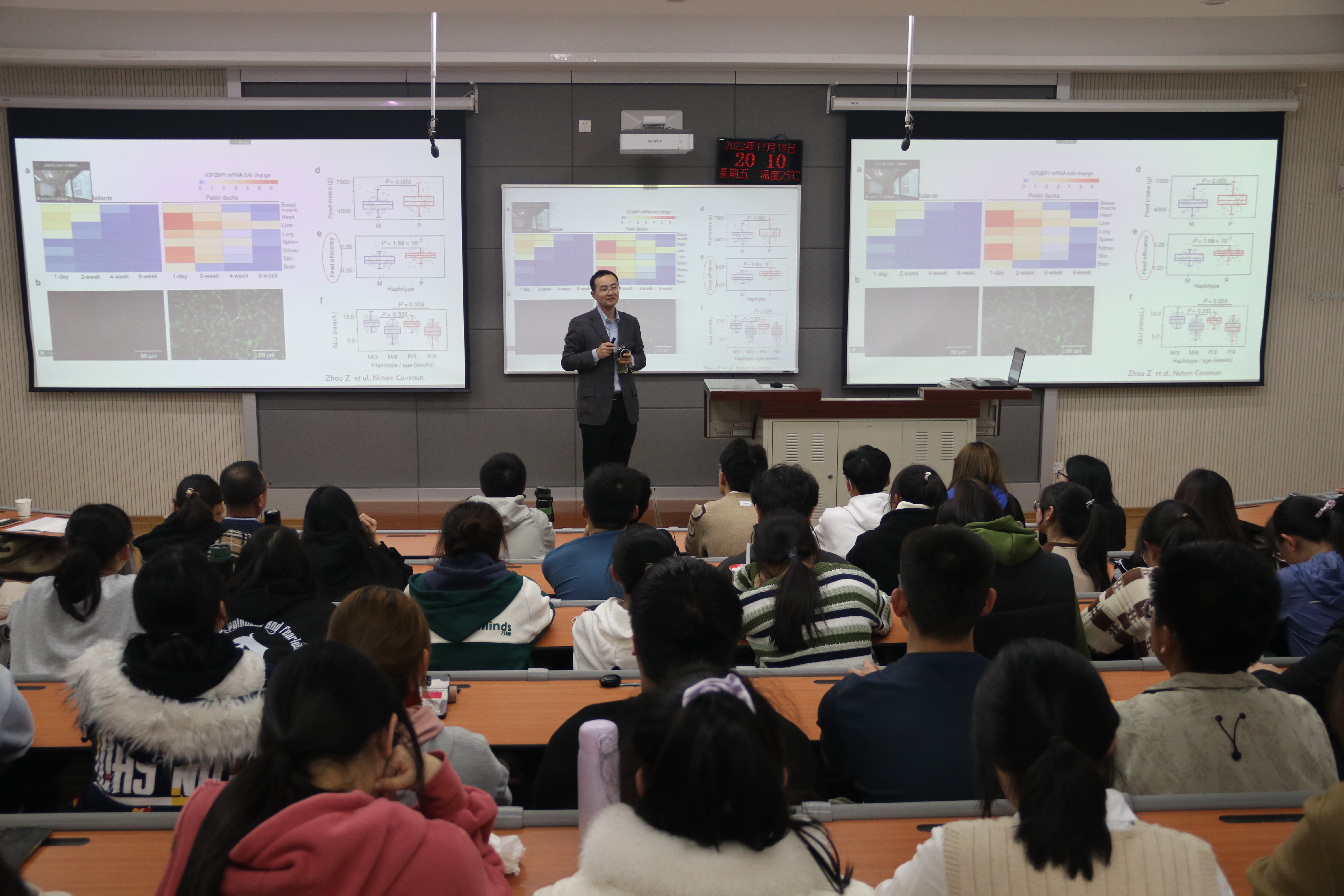 88e4ee01ed354aa3b227ee04242c2dd8.jpg 88e4ee01ed354aa3b227ee04242c2dd8.jpg