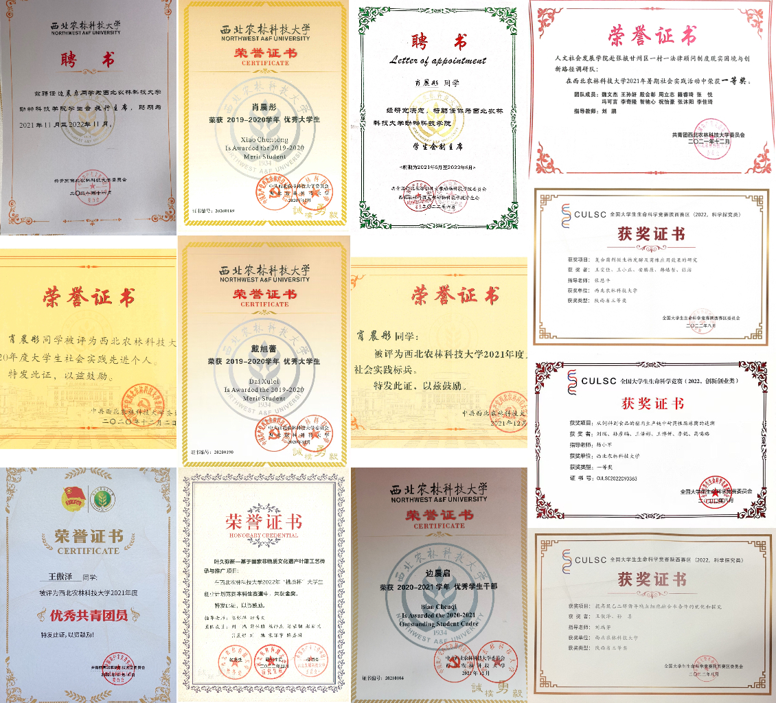 e8af064d353648138a72238829c10410.jpg e8af064d353648138a72238829c10410.jpg