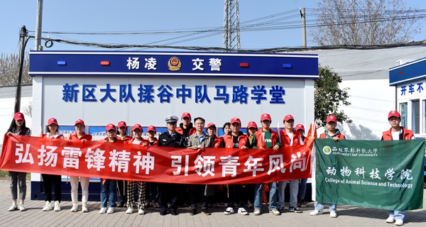 1e08e732f7b940c5b60ec68eb80ddd05.jpg DSC_0034.JPG