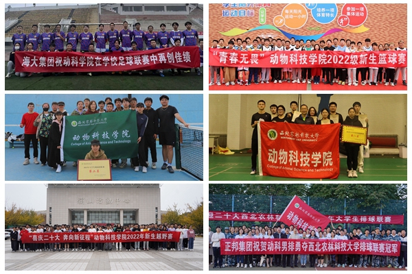 4408235d926749a38548d020c8f38480.jpg 82df15cd10284ceb94c5e7762362fe17.jpg