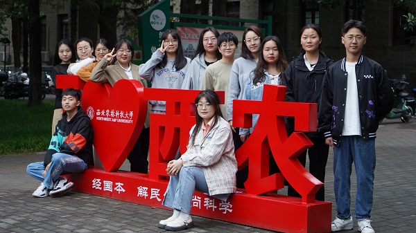 22d8c7fa3e6c4860a1b5efa050f3d351.jpg 3.jpg