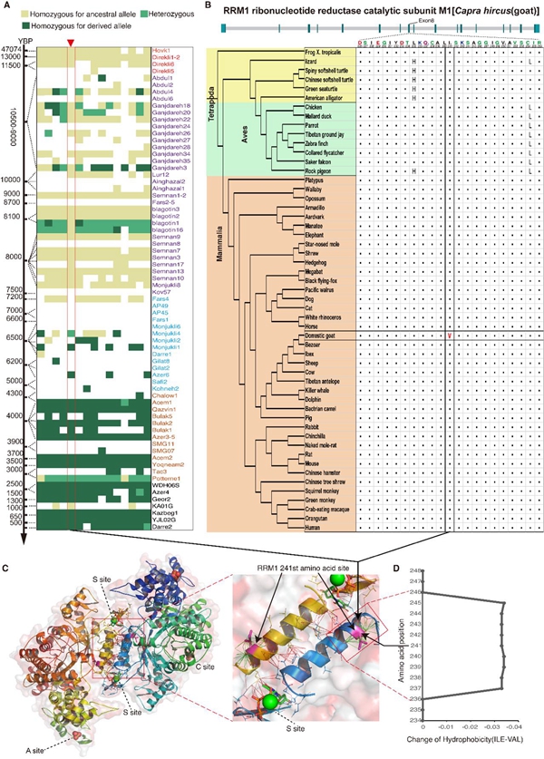 b742f9ceb44946769d1aa9171bb0c695.jpg 2_副本.jpg
