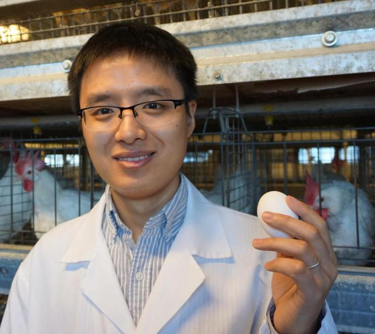 0fe7d826db85482bad439ee50efbc48e.png 图片2.png