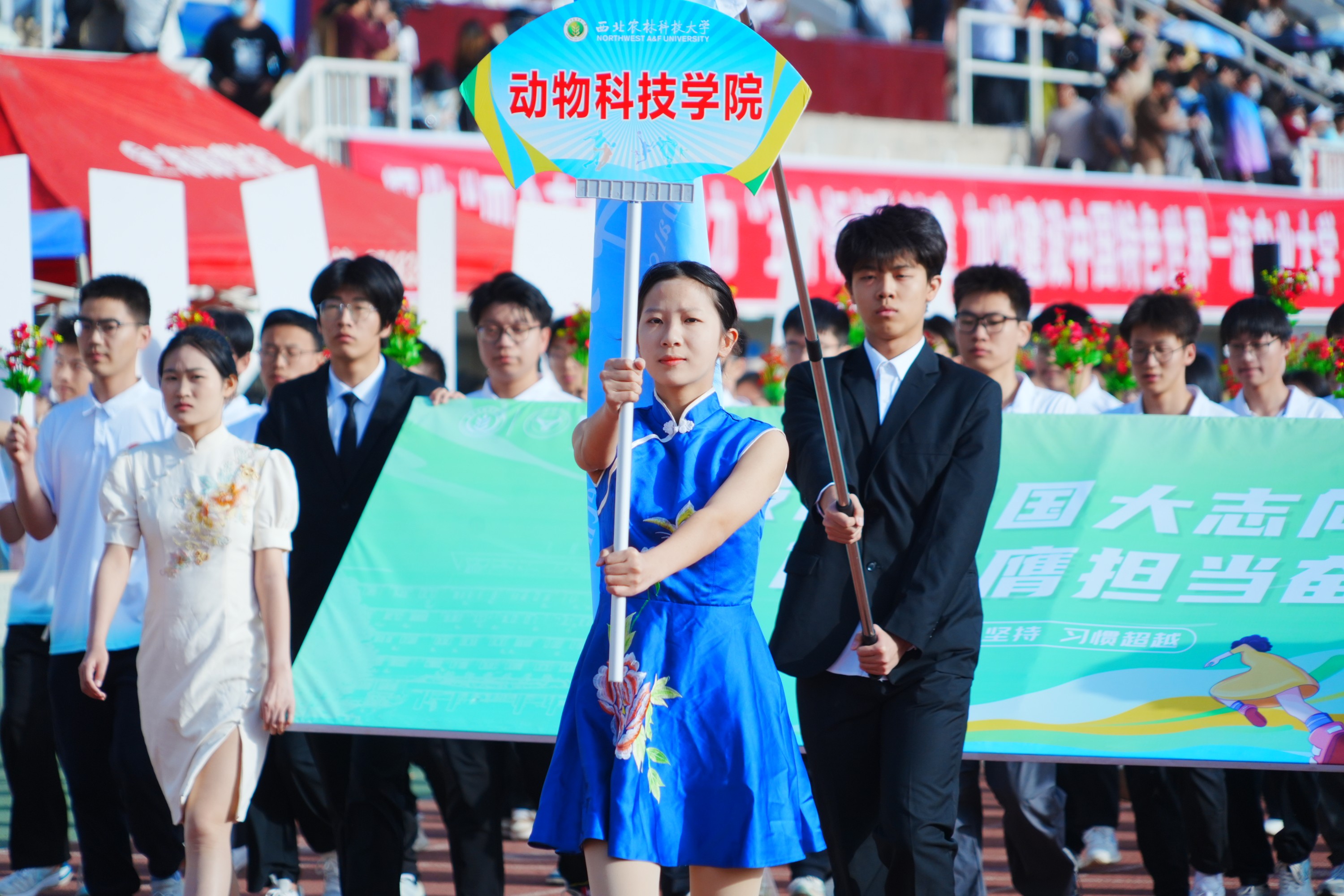 DSC06704-opq3575785835.jpg