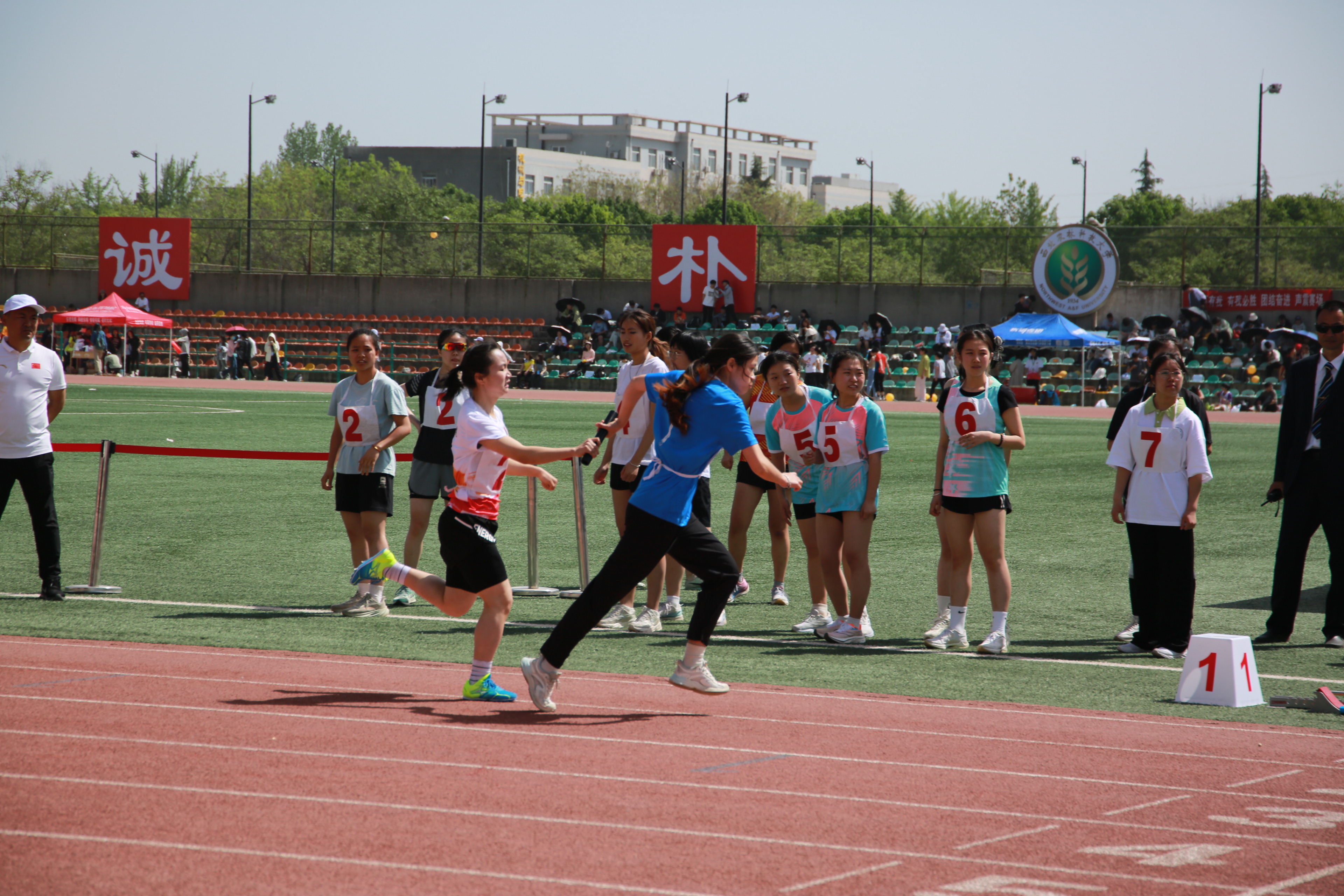 336A6382.JPG
