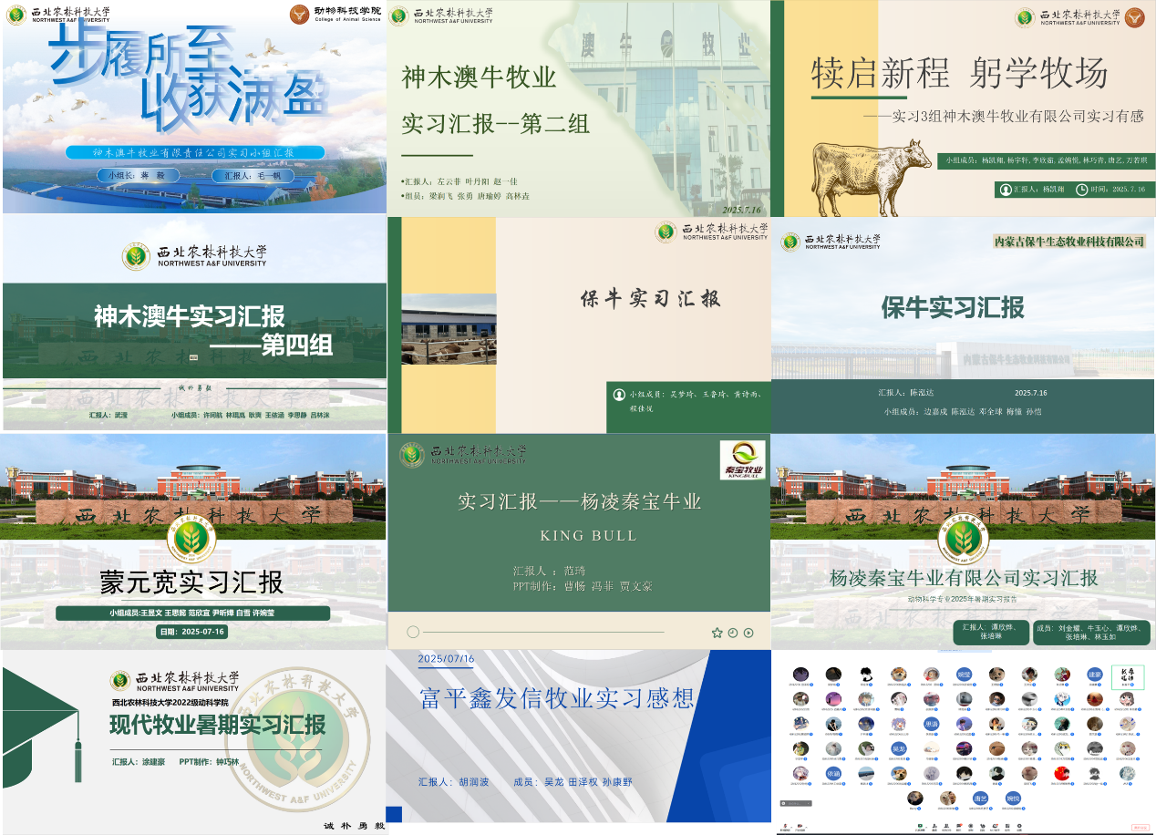 图腾讯会议分组汇报片1.png