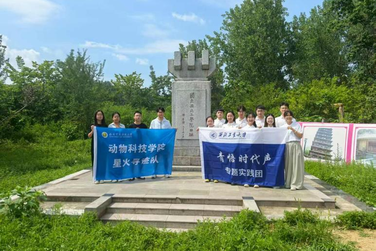 展馆对话：解码青年担当的“精神密码”.png