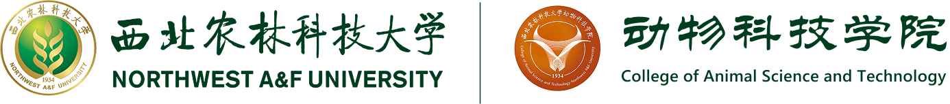 成人网址
