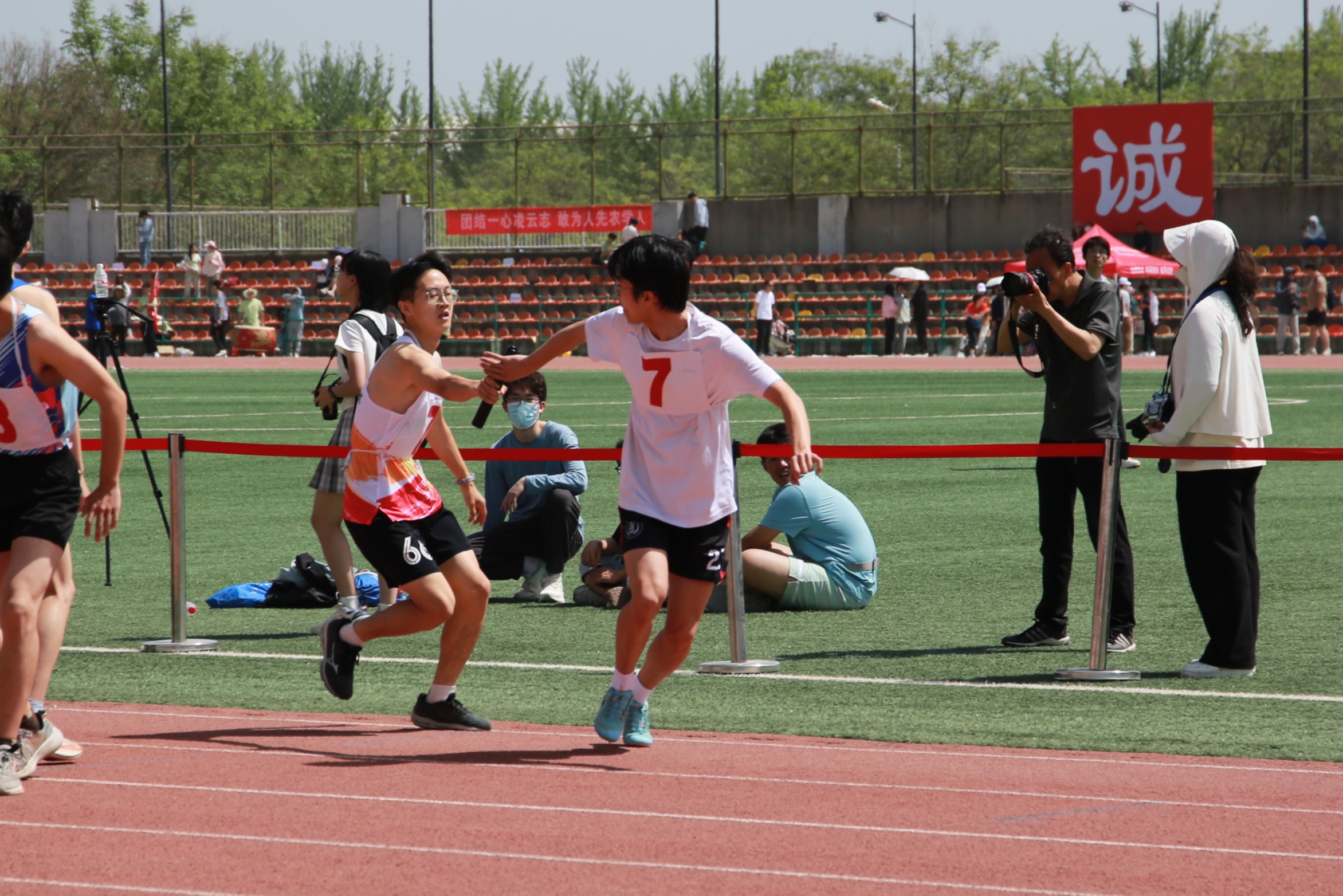 336A6484.JPG